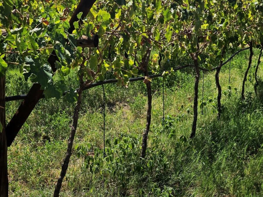 Commercial Property for Sale in Groblershoop Northern Cape